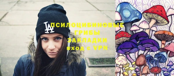 прущие грибы Алексеевка